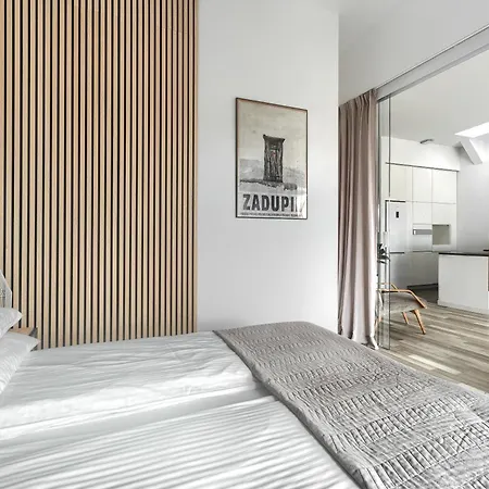 Z 1 Sypialnia I Balkonem 1899 By Platinum Στσέτσιν